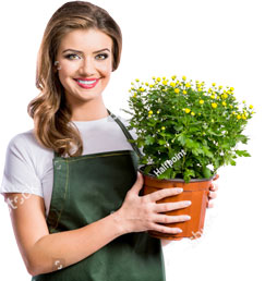 Here to help with all your planting needs